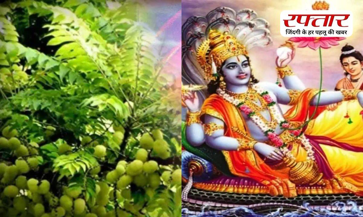 Amalaki Ekadashi 2026