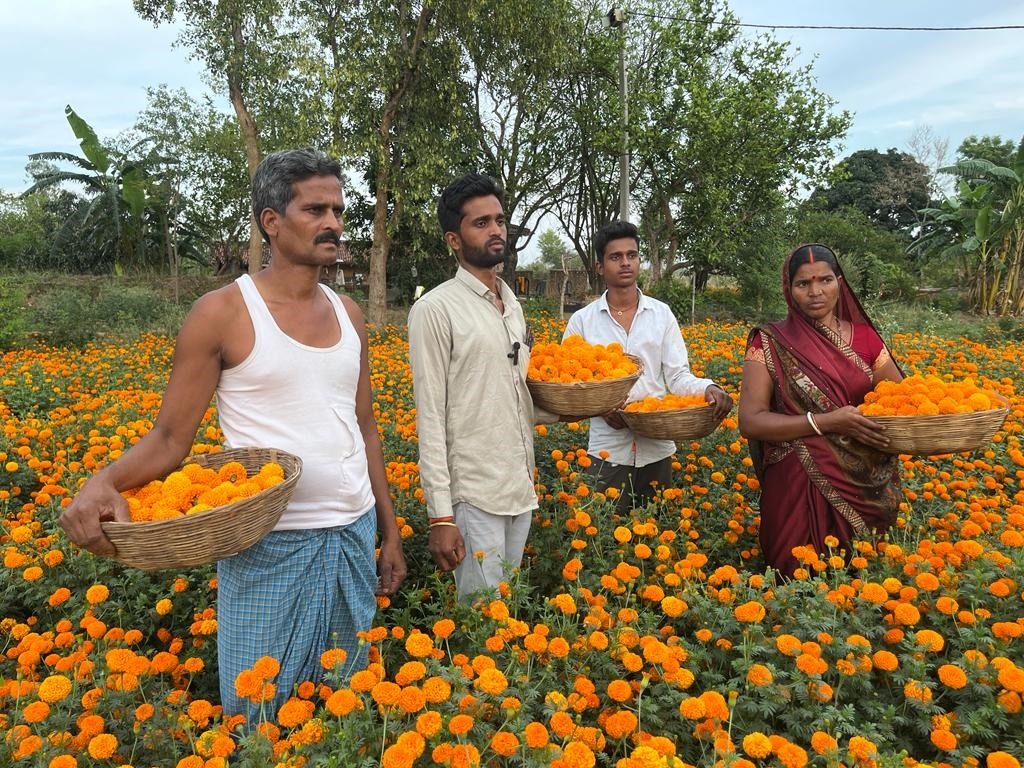 फूलों की खेती से खिल रहा झारखंड के इन इलाकों के किसानों का जीवन