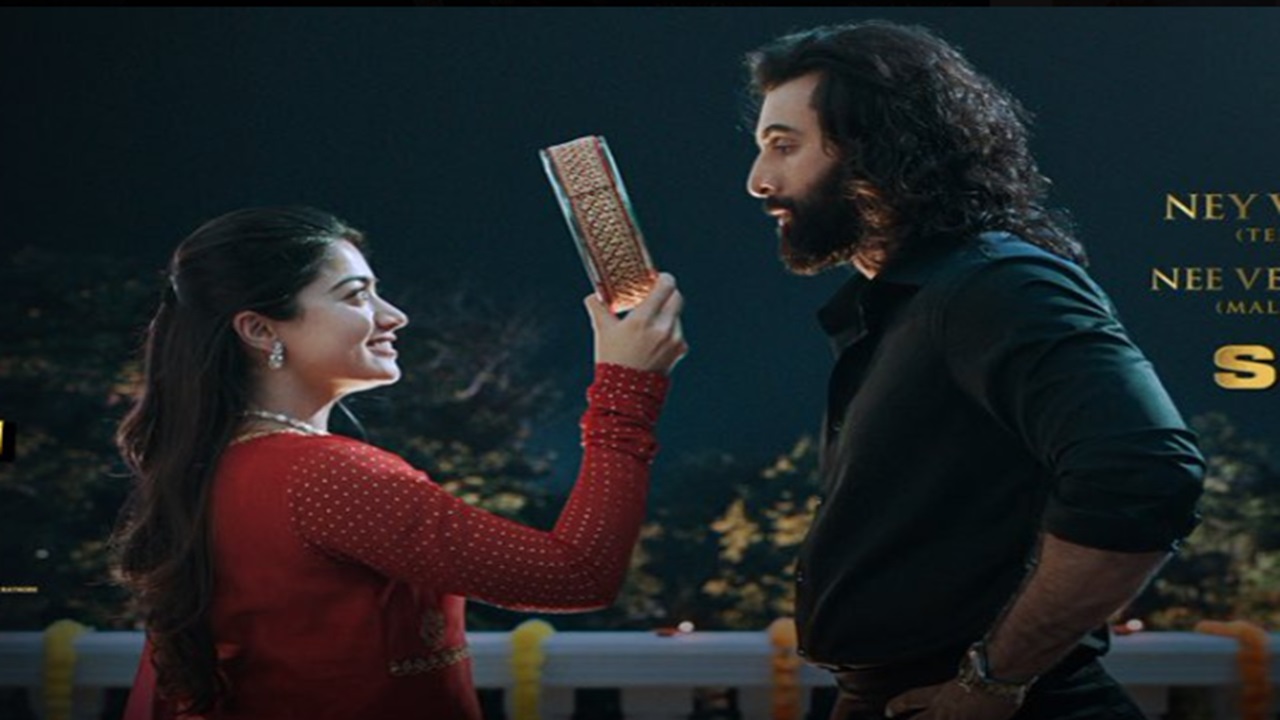 Animal BO Collection: ‘एनिमल’ ने फिल्म पठान, जवान, दंगल का तोड़ा रिकॉर्ड, जानें कलेक्शन फिल्म एनिमल का सीन।