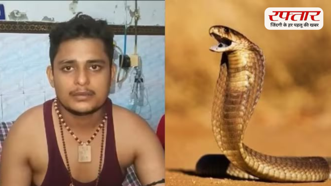 फतेहपुर के युवक को छठी बार सांप ने काटा