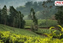 गर्मियां शुरू होने से पहले घूम आएं ये जगहें, मार्च में घूमने के लिए हैं बेस्ट