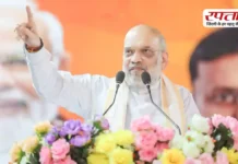 पेट्रोल-डीजल और गैस की किल्लत पर सरकार का एक्शन, अमित शाह की अध्यक्षता में कमिटी बनाई