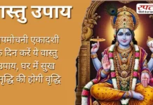 Vastu Tips: पापमोचनी एकादशी के दिन करें ये वास्तु उपाय, घर में सुख समृद्धि की होगी वृद्धि