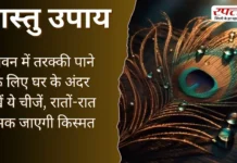 Vastu Tips: जीवन में तरक्की पाने के लिए घर के अंदर रखें ये चीजें, रातों-रात चमक जाएगी किस्मत