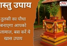 Vastu Tips: तुलसी का पौधा बनाएगा आपको मालामाल, बस करें ये खास उपाय