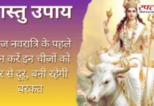 Vastu Tips: आज नवरात्रि के पहले दिन करें इन चीजों को घर से दूर, बनी रहेगी बरकत