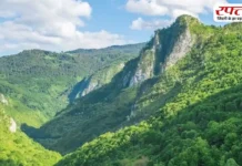 Travel Tips: दोस्तों के साथ घूमने का बनाएं परफेक्ट प्लान, बैग पैक करें और निकल पड़ें