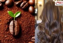 सिर्फ कॉफी के इस्तेमाल से आपके बाल बनेंगे सिल्की और डैंड्रफ फ्री