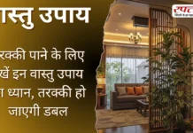 Vastu Tips: तरक्की पाने के लिए रखें इन वास्तु उपायों का ध्यान, तरक्की हो जाएगी डबल