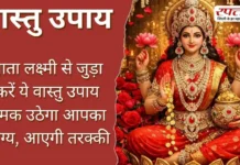 Vastu Tips: माता लक्ष्मी से जुड़ा करें ये वास्तु उपाय चमक उठेगा आपका भाग्य, आएगी तरक्की