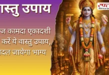 Vastu Tips: आज कामदा एकादशी पर करें ये वास्तु उपाय, बदल जायेगा भाग्य