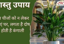 Vastu Tips: इन चीजों को न लेकर आएं घर, लगता है दोष होती है कंगाली