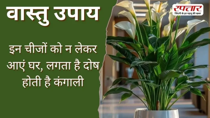 Vastu Tips: इन चीजों को न लेकर आएं घर, लगता है दोष होती है कंगाली