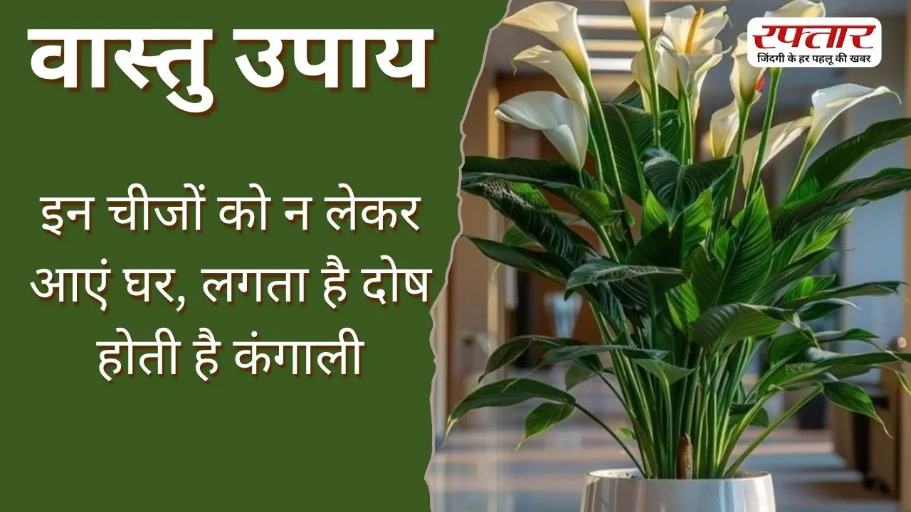 Vastu Tips: इन चीजों को न लेकर आएं घर, लगता है दोष होती है कंगाली