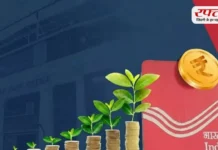 PPF में हर साल ₹50,000 जमा करने पर कितना मिलेगा रिटर्न? 15 साल बाद बन जाएगा लाखों का फंड