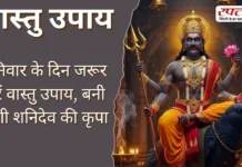 Vastu Tips: शनिवार के दिन जरूर करें वास्तु उपाय, बनी रहेगी शनिदेव की कृपा