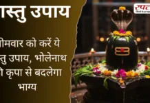 Vastu Tips: सोमवार को करें ये वास्तु उपाय, भोलेनाथ की कृपा से बदलेगा भाग्य
