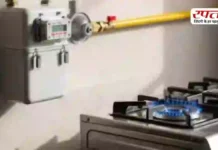 PNG Gas: बिना सिलेंडर कैसे पाइपलाइन से घर तक पहुंचती है गैस? जानिए पूरा सिस्टम