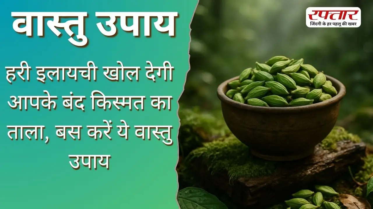 Vastu Tips: हरी इलायची खोल देगी आपके बंद किस्मत का ताला, बस करें ये वास्तु उपाय