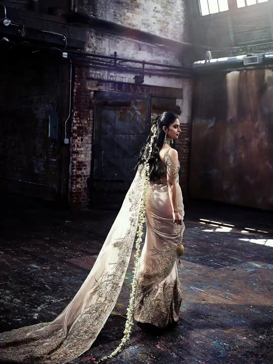 Isha Ambani Met Gala Look (Credit: Instagram) 