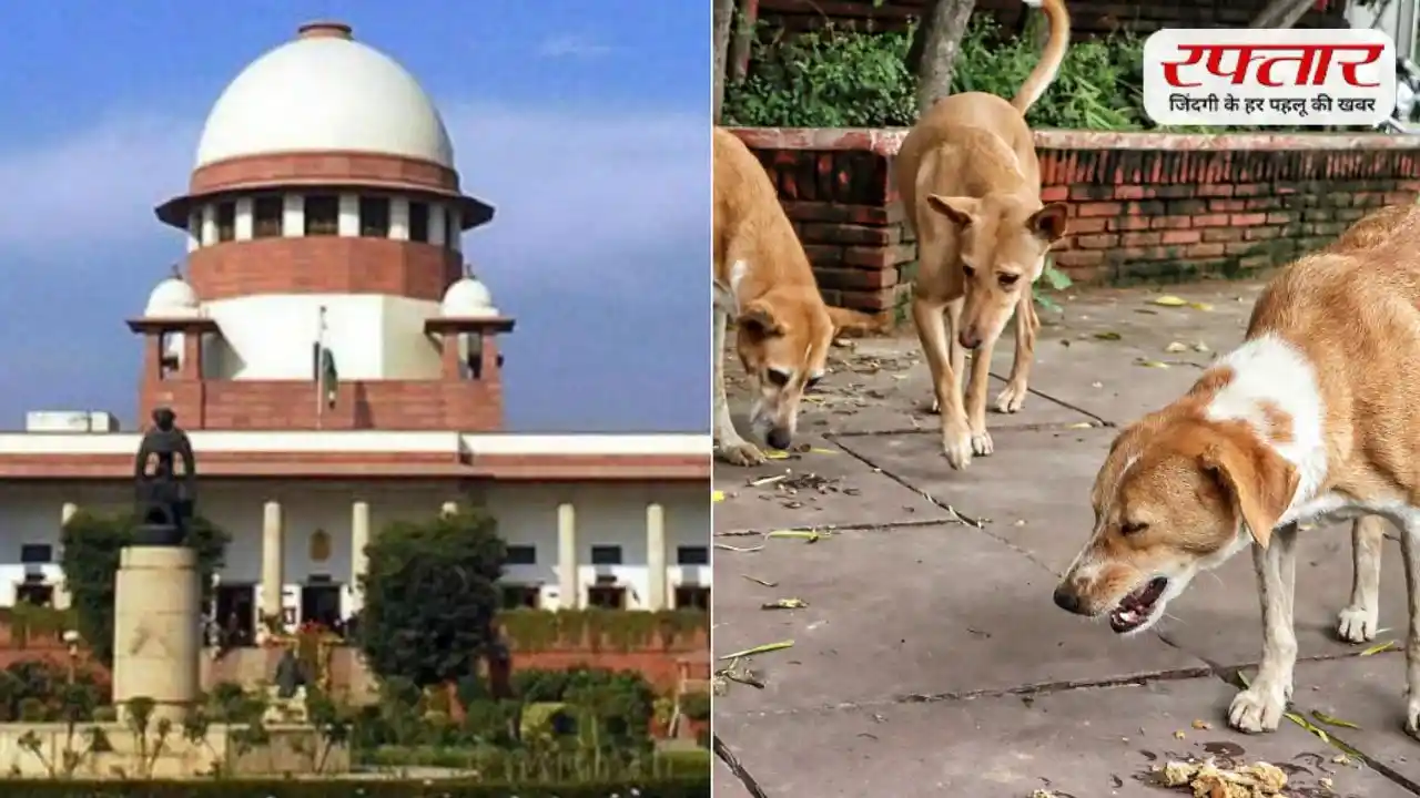 डॉग लवर्स को झटका! आवारा कुत्तों को लेकर Supreme Court सख्त, सार्वजनिक जगहों से हटाए जाएंगे आवारा कुत्ते