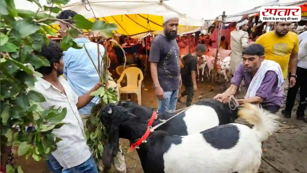 Bakrid 2026: बकरीद पर किन जानवरों की नहीं दी जा सकती कुर्बानी? जानिए क्या हैं कुर्बानी के नियम