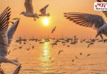 Travel Tips: नेचर लवर्स अलर्ट! विंटर एंड पर इन 4 स्पॉट्स पर लगती है पक्षियों की महफिल