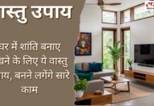 Vastu Tips: वास्तु शास्त्र के ये उपाय बनाएंगे आपको मालामाल, बदल जाएगी किस्मत