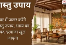 Vastu Tips: घर में जरूर करेंगे वास्तु उपाय, भाग्य का बंद दरवाजा खुल जाएगा