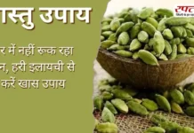 Vastu Tips: घर में नहीं रूक रहा धन, हरी इलायची से करें खास उपाय