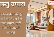 Vastu Tips: नकारात्मकता को दूर करने के लिए करें ये वास्तु उपाय, चारों तरफ से आएगी तरक्की